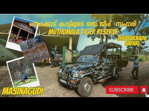 Theppakkadu Van & Jeep Safari | Mudumalai Tiger Reserve  | Masinagudi Safari |Tamilnadu | Malayalam