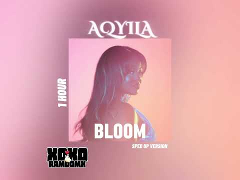 AQYILA - BLOOM [sped up version] (1 HOUR LOOP)