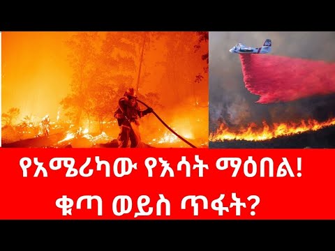 የካሊፎርኒያው ሰደድ እሳት፤ሎስ አንጀለስ ወደመች#putin #california #usa #trump #biden #gaza #hamas #ayatollah #israel