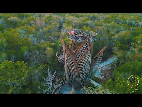 Tech House & Melodic Techno DJ Set By CHINOTON | Jungle Tower Tulum