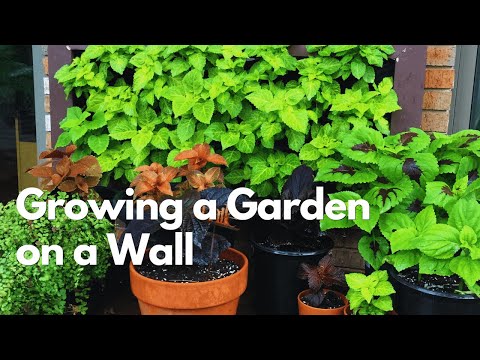 Build Your Own Vertical Garden - How a Trip to Pittsburgh Inspired Me