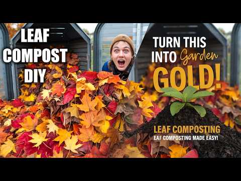 🍂 How to Compost Leaves in October: Easy DIY Methods for Rich Garden Soil