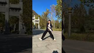 a kind of traditional Chinese shadowboxing (tai chi chuan) #传统文化 #文化 #中国传统文化 #弘扬中华武术