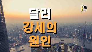 달러 강세의 원인