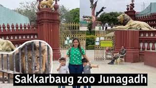 Sakkarbaug zoo junagadh full tour ॥ sakkarbaug junagadh ॥ sakkarbaug na video ॥ junagadh