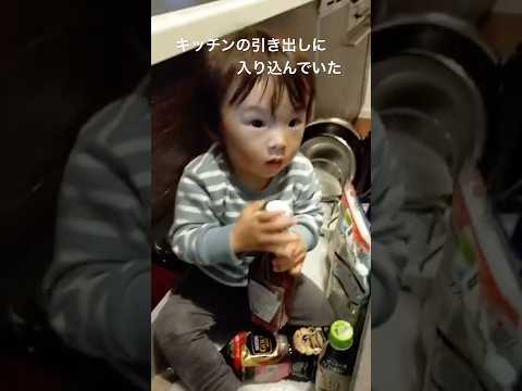 赤ちゃんイタズラ！　キッチンの引き出しに入り込んでいた   #1歳3ヶ月男の子