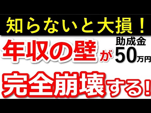 【扶養パートは絶対見て】1人５０万円の助成金で年収の壁が崩壊します！【106万円の壁】【130万円の壁】