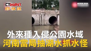 CTWANT 生活新聞 / 外來種入侵公園水域　河南當局抽湖水抓水怪