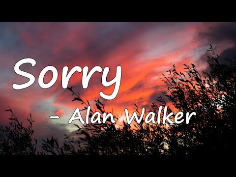 Alan Walker & ISÁK - Sorry  Lyrics