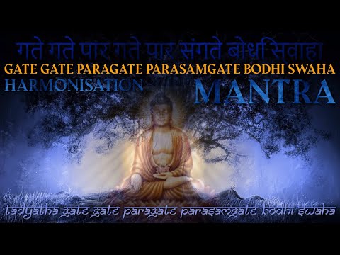 Gate Gate Paragate Parasamgate Bodhi Svaha / Harmonisation of Being - Motivation with Reality