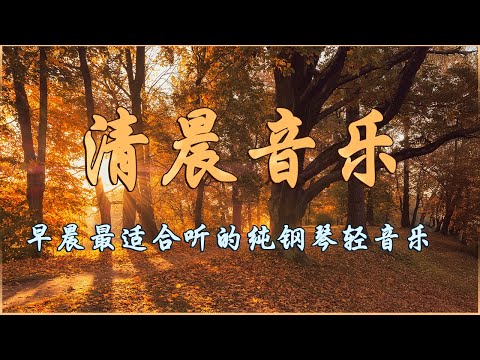 PIANO MUSIC - 早上最適合聽的輕音樂 - 美妙的音樂 - 純鋼琴輕音樂 - 轻松的钢琴音乐 - 放鬆音樂