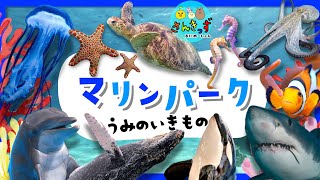 【海の生き物 集合！】マリンパークへ行こう！水族館で人気のうみのいきものやお魚さんたちが大集合◎イルカ サメ クジラなど20種が登場するよ★【子供向け水族館アニメ】