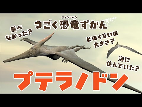 【恐竜】恐竜図鑑〜プテラノドン〜