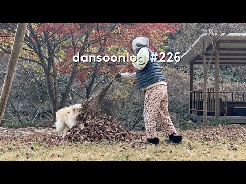 Autumn rural life in Korea vlog 226) The weather is getting colder