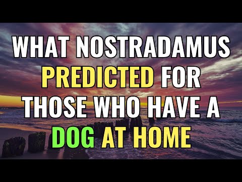 What Nostradamus Predicted for Those Who Have a Dog at Home | Awakening | Spirituality | Chosen Ones