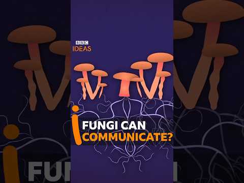 Wait... fungi can communicate?! #Fungi #Shorts #BBCIdeas