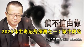 2025年生肖运势预测之一：鼠牛虎兔 《信不信由你》2024年12月12日 第255期