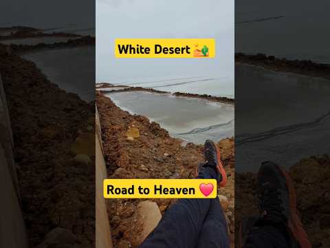 Dholavira road White Desert kutch road to heaven kutch #dholavira #whitedesert #touristplaces