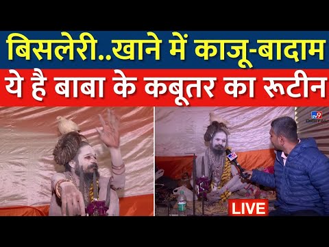 Maha Kumbh 2025: महाकुंभ में पहुंचे कबूतर बाबा ने TV9 रिपोर्टर से किया बड़ा खुलासा! | Prayagraj News