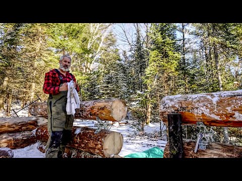 Scribing Logs with Vinegar? Insatiable Curiosity and Resilience