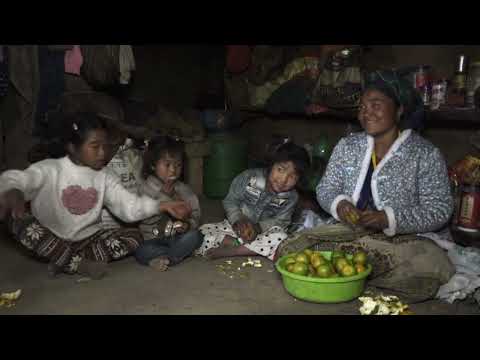 Eating together delicious orange in village || Traditional village life