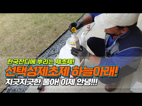 한국잔디에 뿌리는 제초제! 선택성제초제 하늘아래.. 지긋지긋한 풀아 이제 안녕 / To kill grass on the lawn