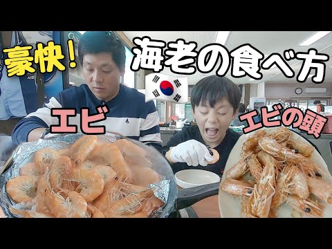 【日韓夫婦】韓国では海老をこうやって食べる🦐頭まで美味しい海老の食べ方