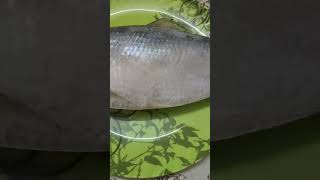 Bengali's favourite ilish mach#youtubeshorts #shorts #viral