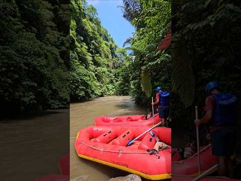 Ready to rafting in bali ayung river 인도네시아 발리 레프팅하러 가자ㅏㅏ