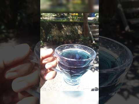 Blue tea #bluepea #healthyrecipes