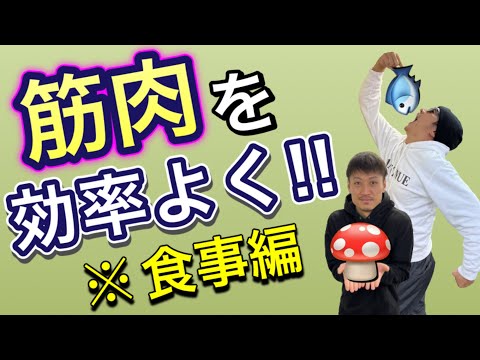 【筋肉をつける食べ物】健康に欠かせない筋肉を効率よく蓄えるための食べ物