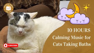 Calming Music for Cats Taking Baths 10 Hours 🛀 Relaxing Music for Cats