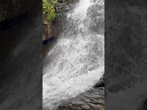 calming whispers of the falls #watersounds #whatsappstatus #waterfallsounds