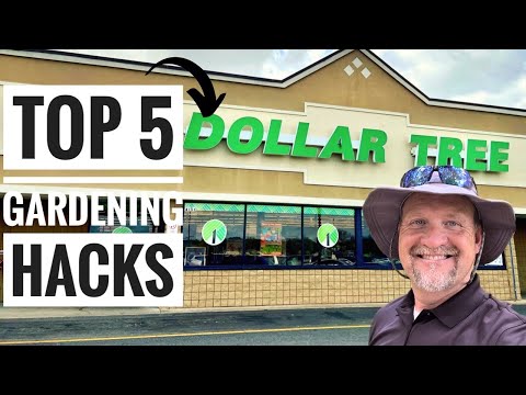 Top 5 Dollar Tree Gardening hacks for 2024