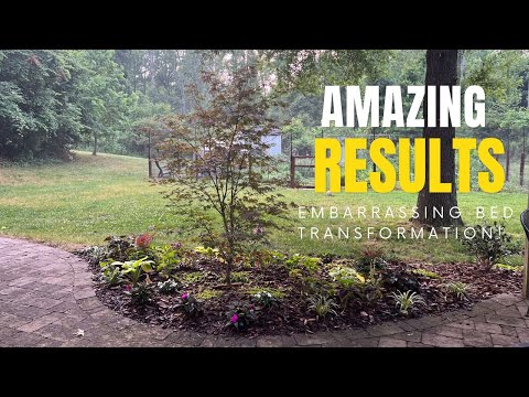 Backyard Transformation Reveal | June Back Garden Tour | The Southern Daisy