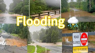 ⛈️#flooding2024 #qld #australiashorts #australialife #floodingtoday #petshorts #shorts