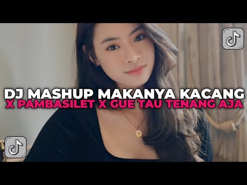 DJ MASHUP MAKANYA KACANG X PAMBASILET X GUE TAU TENANG AJA | DJ MASHUP VIRAL TIK TOK MENGKANE!!!