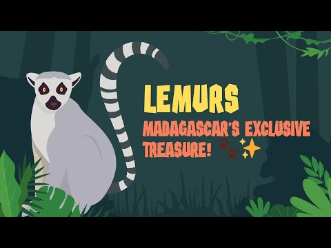 Lemurs Madagascar’s Exclusive Treasure! #lemurs #madagascar #wildlifeconservation #endangeredspecies