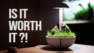 CHIHIROS TINY TERRARIUM EGG | REVIEW AFTER 6 MONTHS