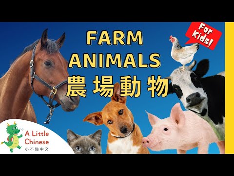 22 Farm Animals 農場動物 | Simple Vocabulary in Traditional Chinese | Learn Chinese for Kids & Toddlers