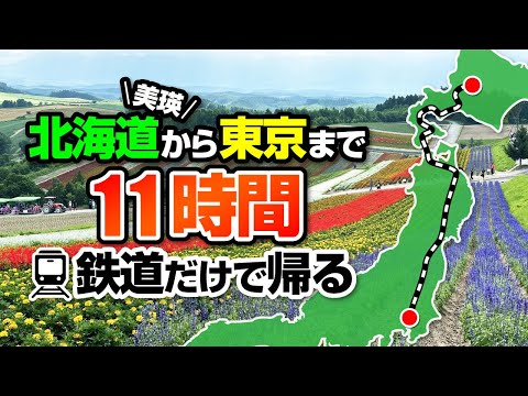 【11時間】鉄道だけで北海道美瑛から東京まで帰ってみた！