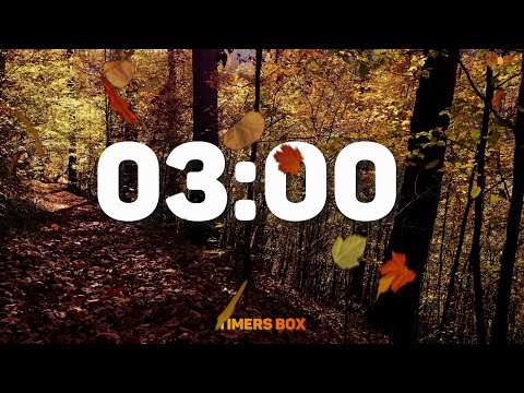 Autumn 3 Minute Fall Timer 🍁🍂