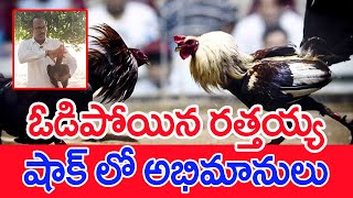 ఓడిపోయిన రత్తయ్య..షాక్ లో అభిమానులు | Cock Fight In Andhra Pradesh | #spt