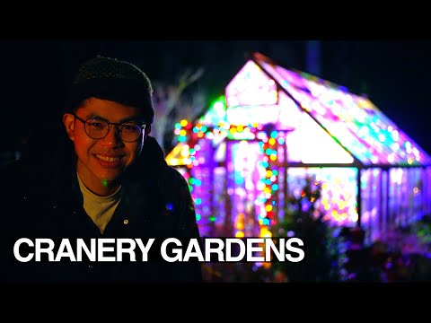 Greenhouse Christmas Lights, Holiday Centerpiece, Cooking Easy Thai Noodles