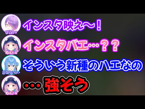 陰キャ過ぎてインスタ映えをガチで知らず新種のハエと本気で思いこむ湊あくあ【ホロライブ/ホロライブ切り抜き】