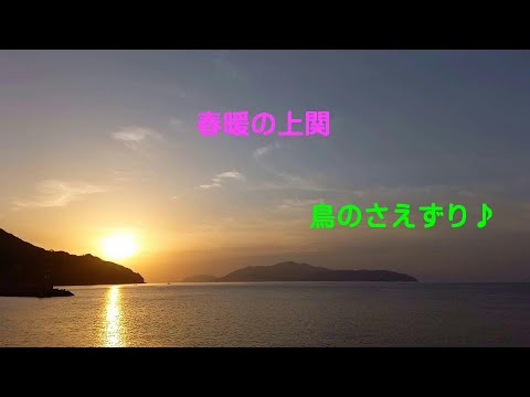 春暖の上関　鳥のさえずり　2023 03 28