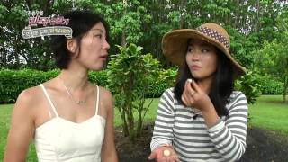 [Sightseeing throughout nations] 만국유람기 -  'TOP' AND 'HOT' MACADAMIA 하와이  마카다미아 농장 20150530