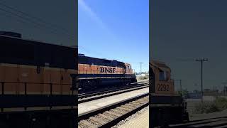 Adventure with Star #starlingrimes #trainsofpnw #short #railroadphotography #BNSF #vancouver