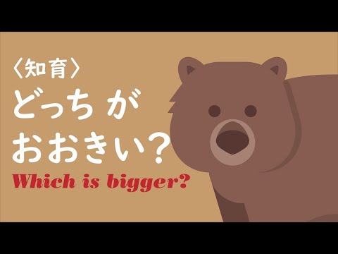 【シンプル知育】どっちが おおきい？