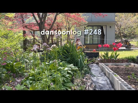 Spring rural Life in Korea vlog 248) My Garden💕